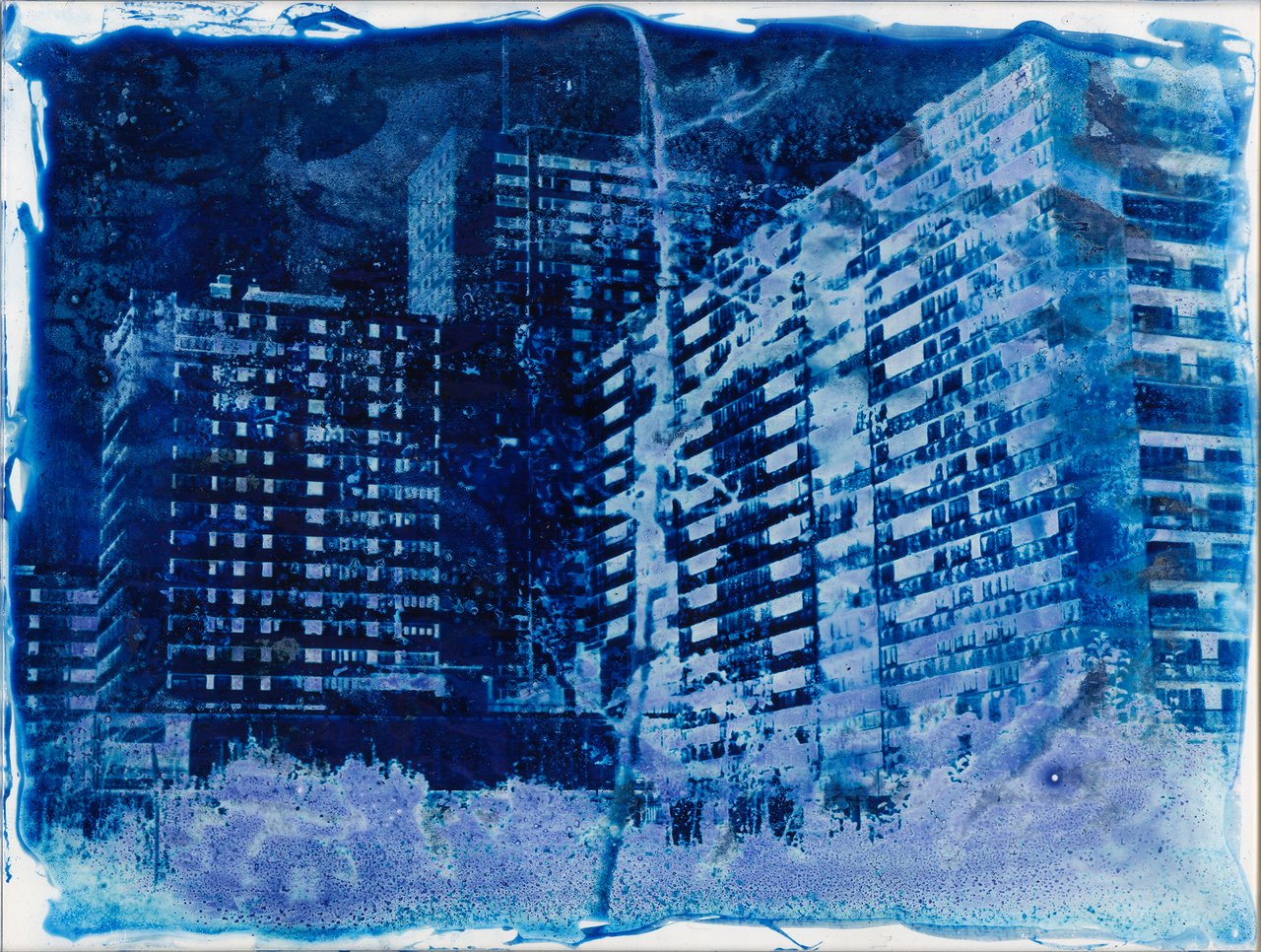 cyanotypes sur verre