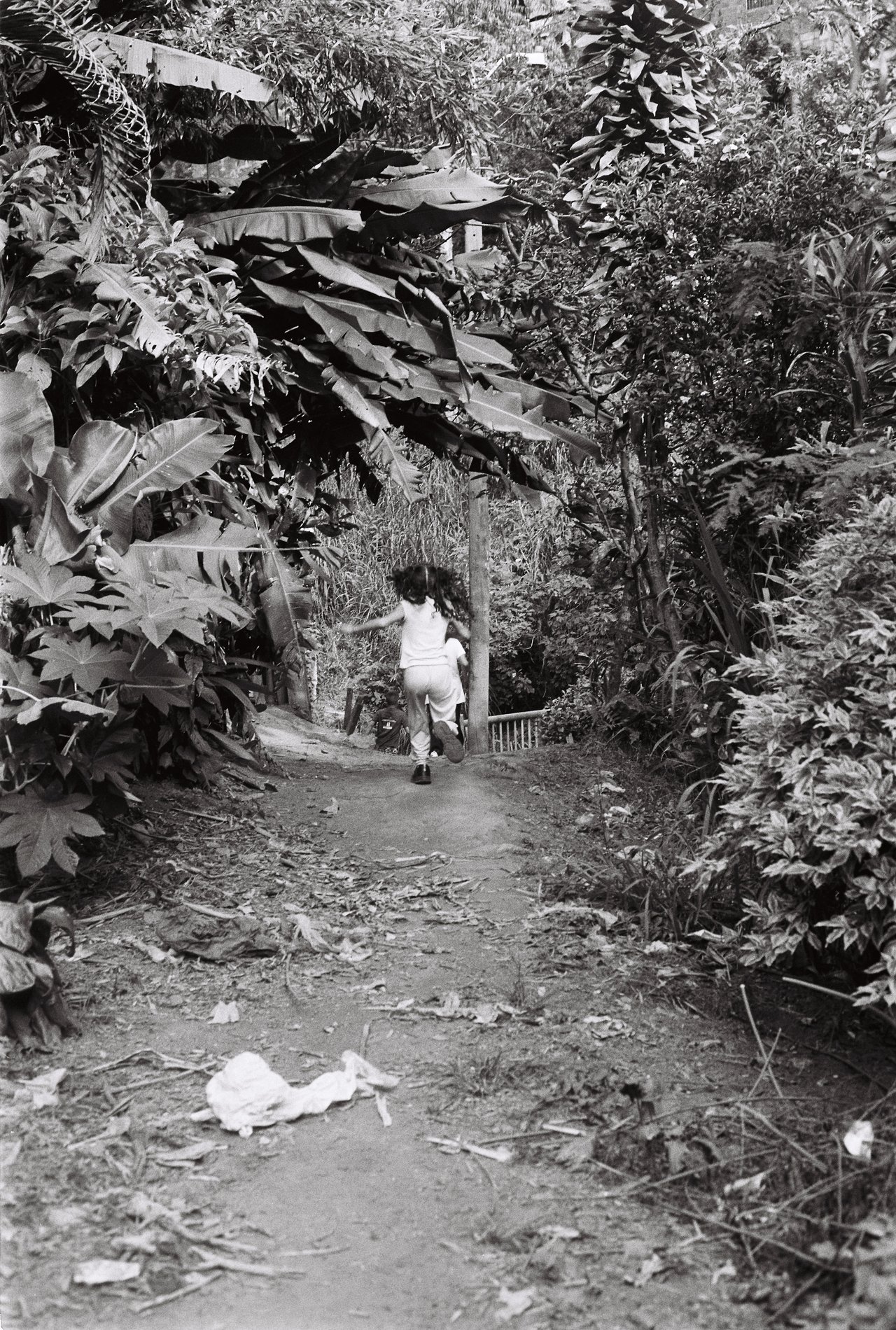« la comunidad preciosa », Medellín, 2026