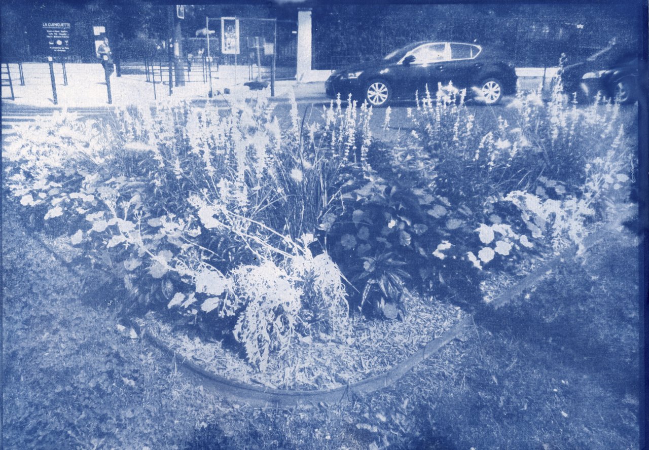 tsunami de plantes · « la cité des bulles 2 », Argenteuil, 2023