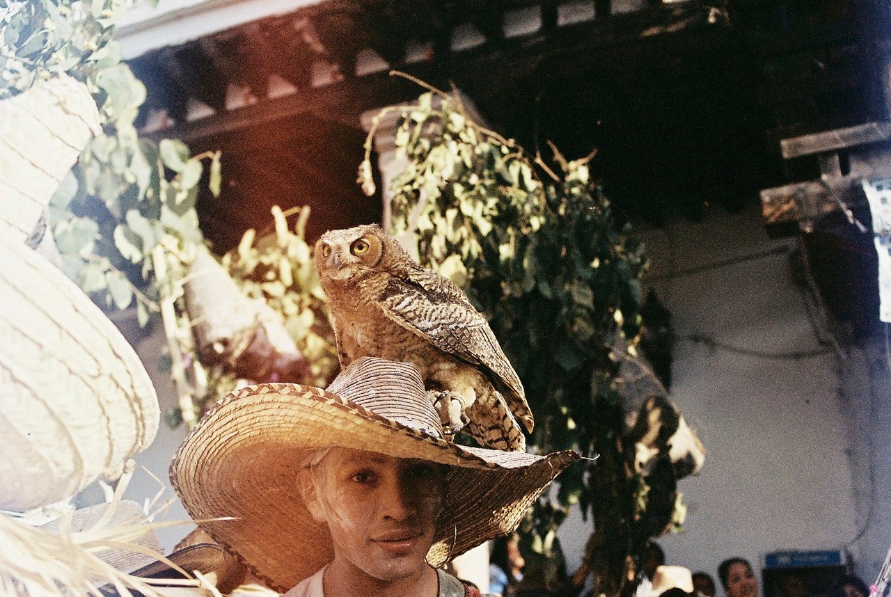 « cherán », Cherán, 2023