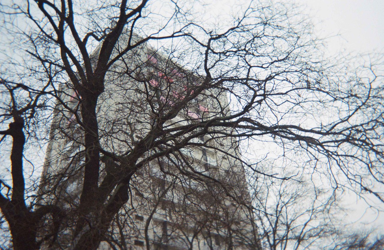 Arbre et tour · « planète courtille », Saint-Denis, 2022