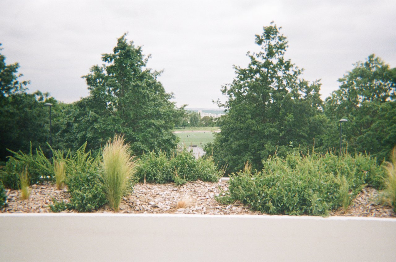 Le stade et les plantes · « point de vue à la noue », Bagnolet, 2021