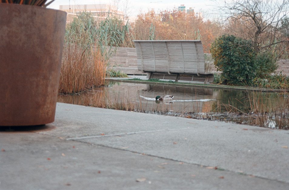 le parc de la bonne humeur · « nt vrai », Nanterre, 2023