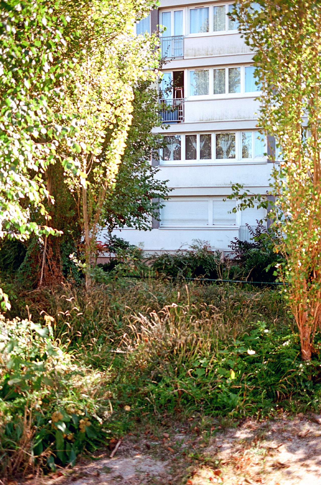 « nous, le petit nanterre », Nanterre, 2025