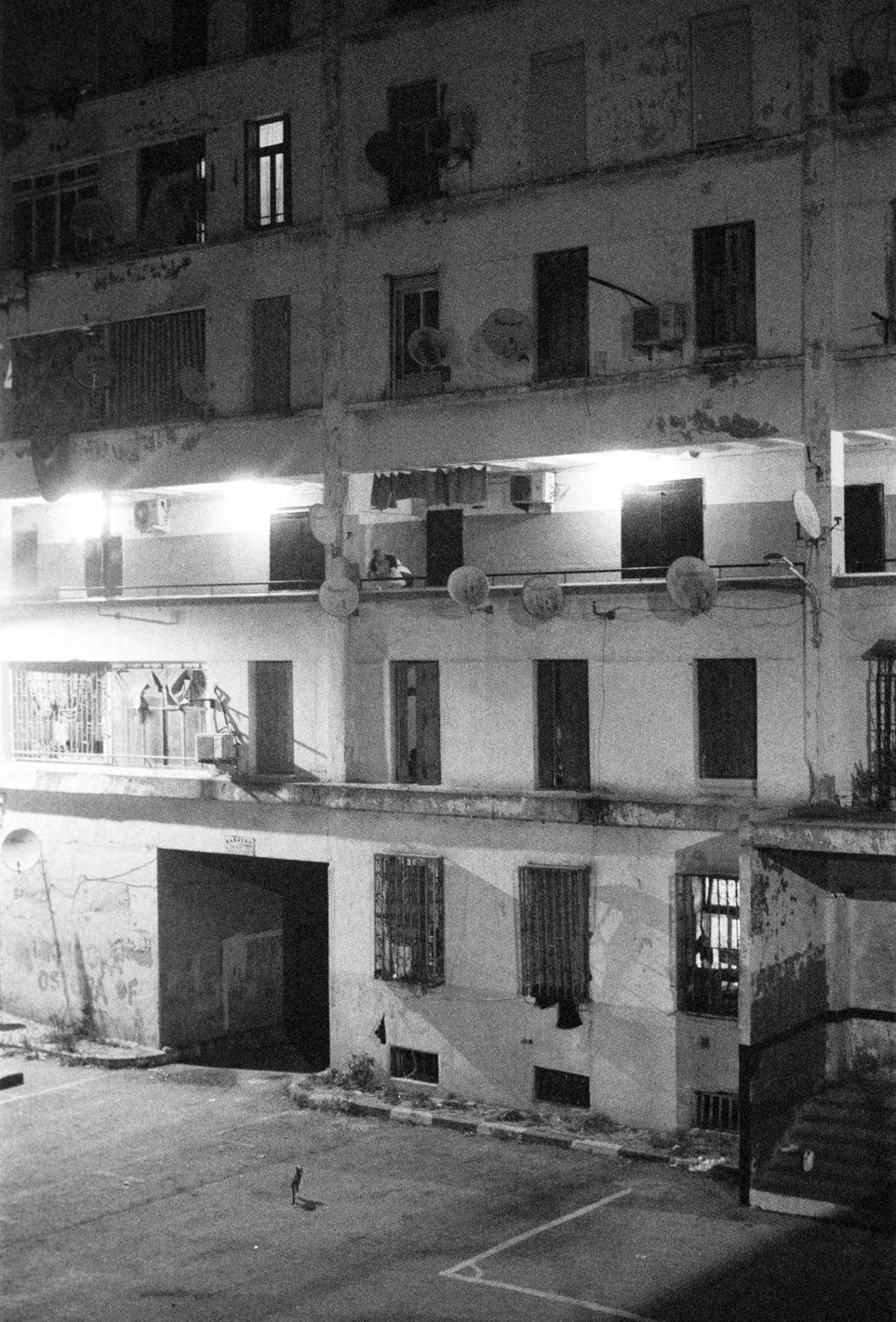 « rampe vallée », Alger, 2024 → 2025