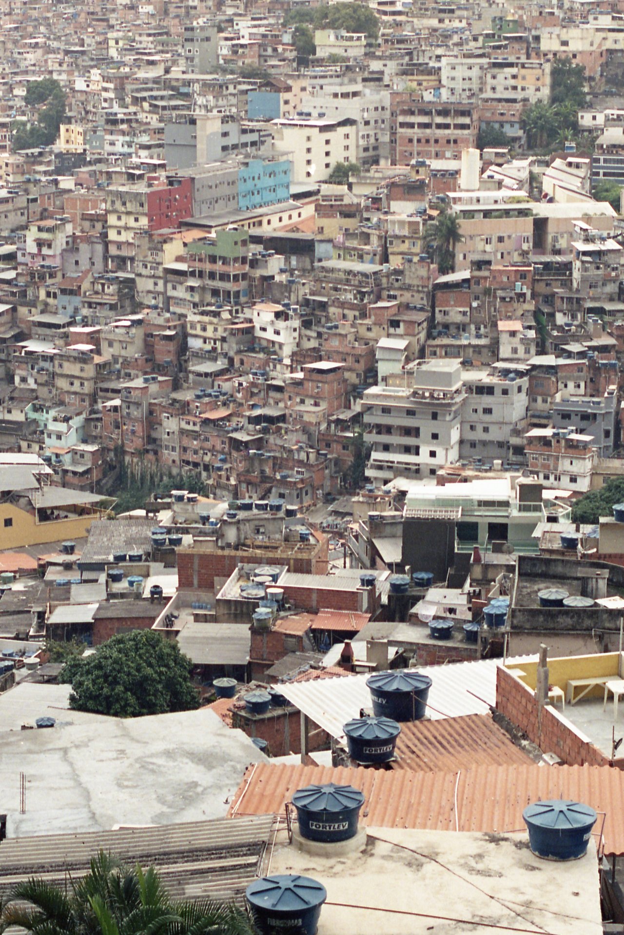a maior favela da america latina · « la galerie des ruches · rencontres la tl », Rio de Janeiro, 2025